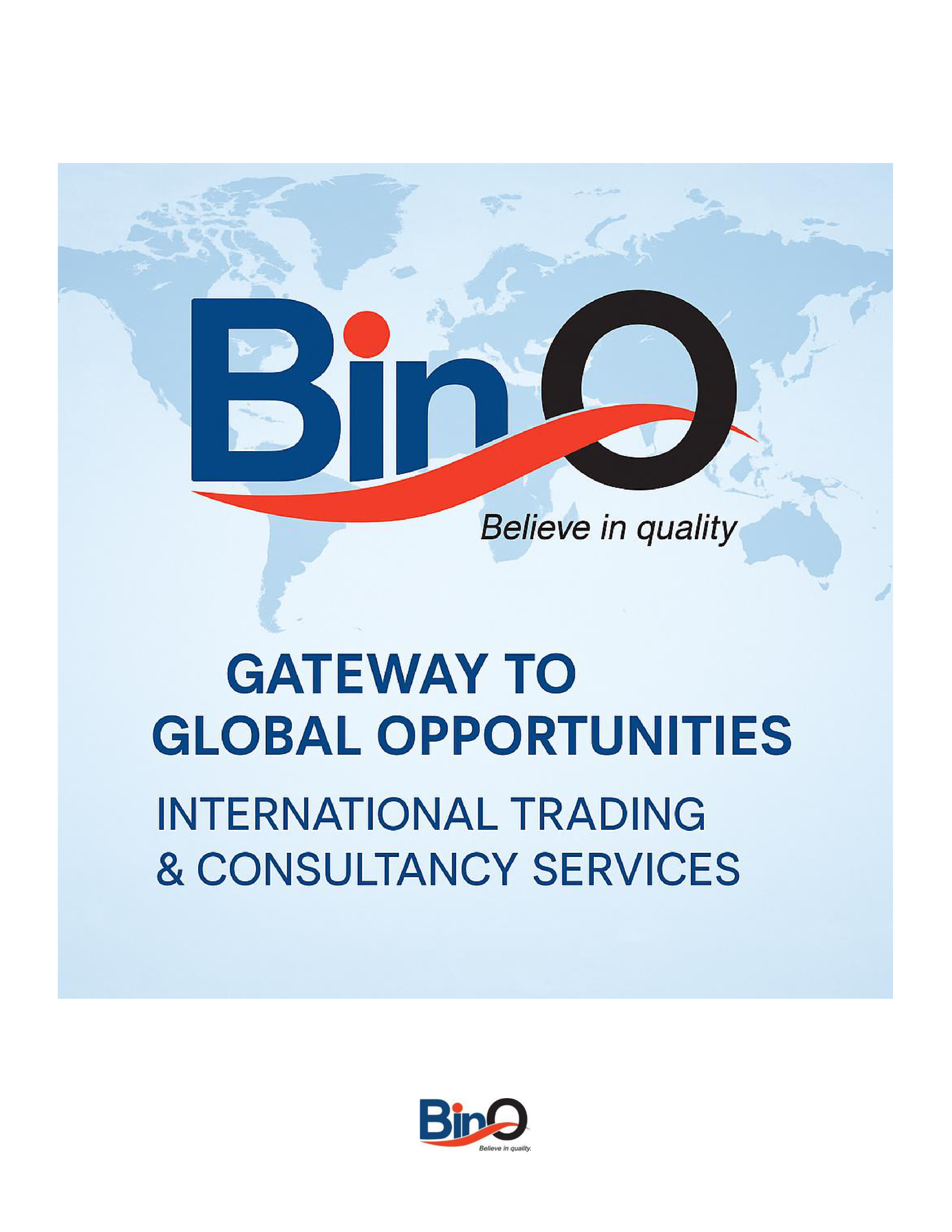 BINQ Gateway to Global Opportunities